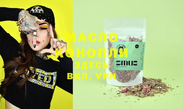 spice Богородицк