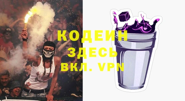 spice Богородицк