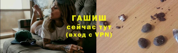 spice Богородицк