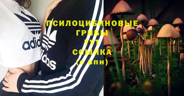 Альфа ПВП Богданович