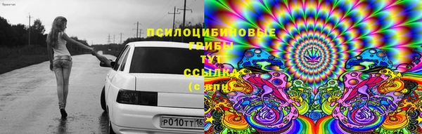 Альфа ПВП Богданович