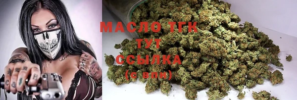 spice Богородицк