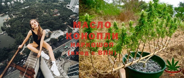 spice Богородицк
